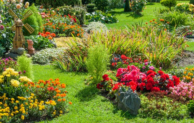 garden